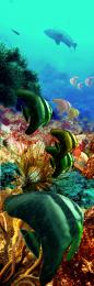 UnderwaterDiscoveries
